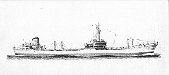 1953 - Mirella d'Amico